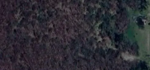 a view of a lush green field