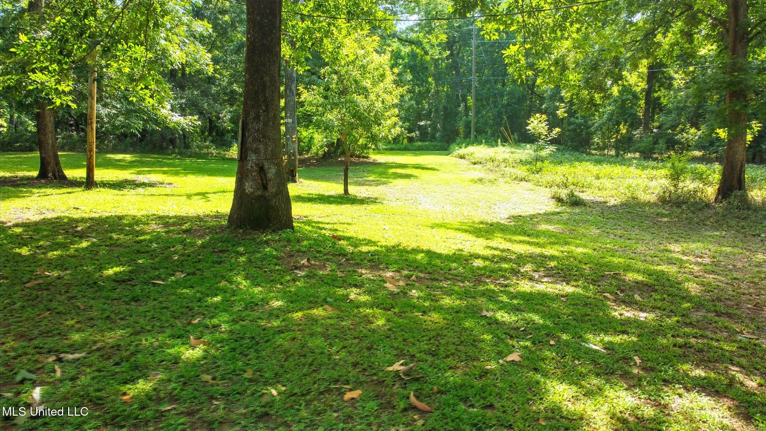 151 Wheatfield Road Poplarville, MS 39470 - Photo 17 of 26 17_yard 1