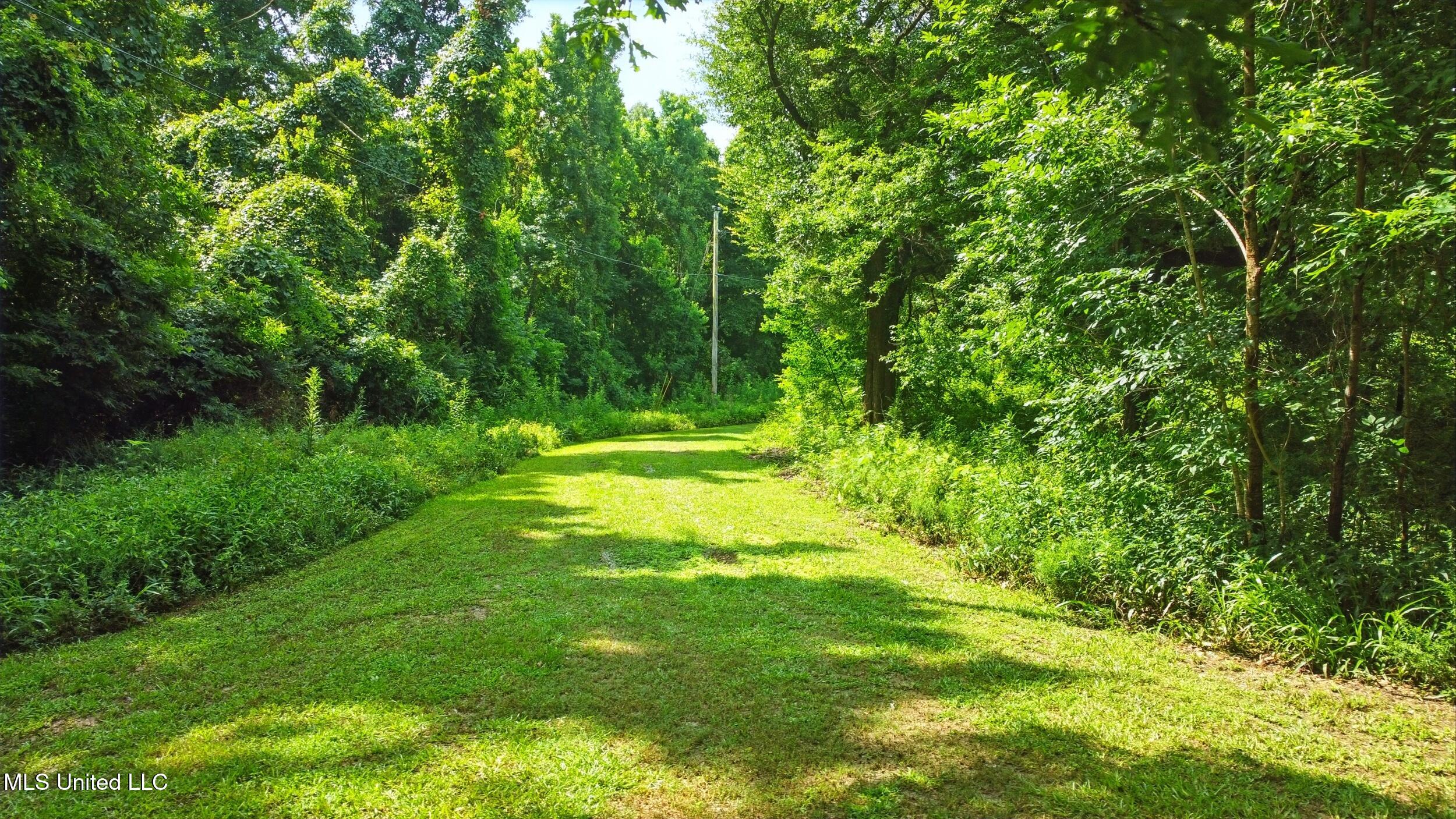 151 Wheatfield Road Poplarville, MS 39470 - Photo 19 of 26 19_yard 3