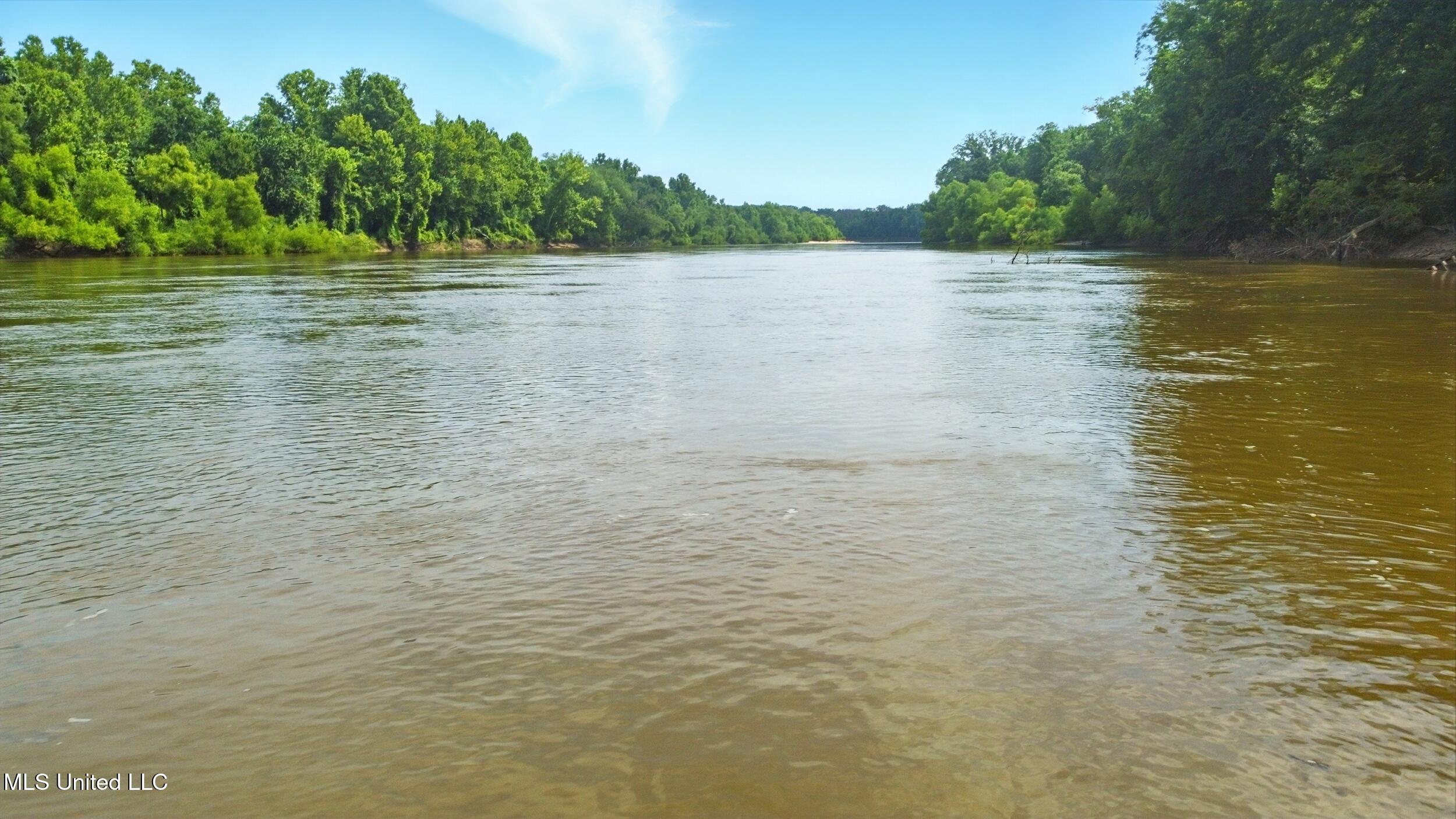 151 Wheatfield Road Poplarville, MS 39470 - Photo 20 of 26 20_river