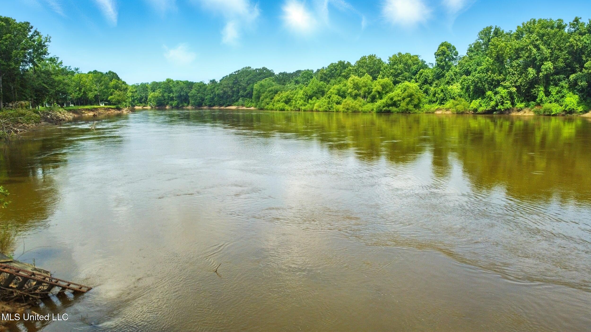 151 Wheatfield Road Poplarville, MS 39470 - Photo 5 of 26 5_house looking at river