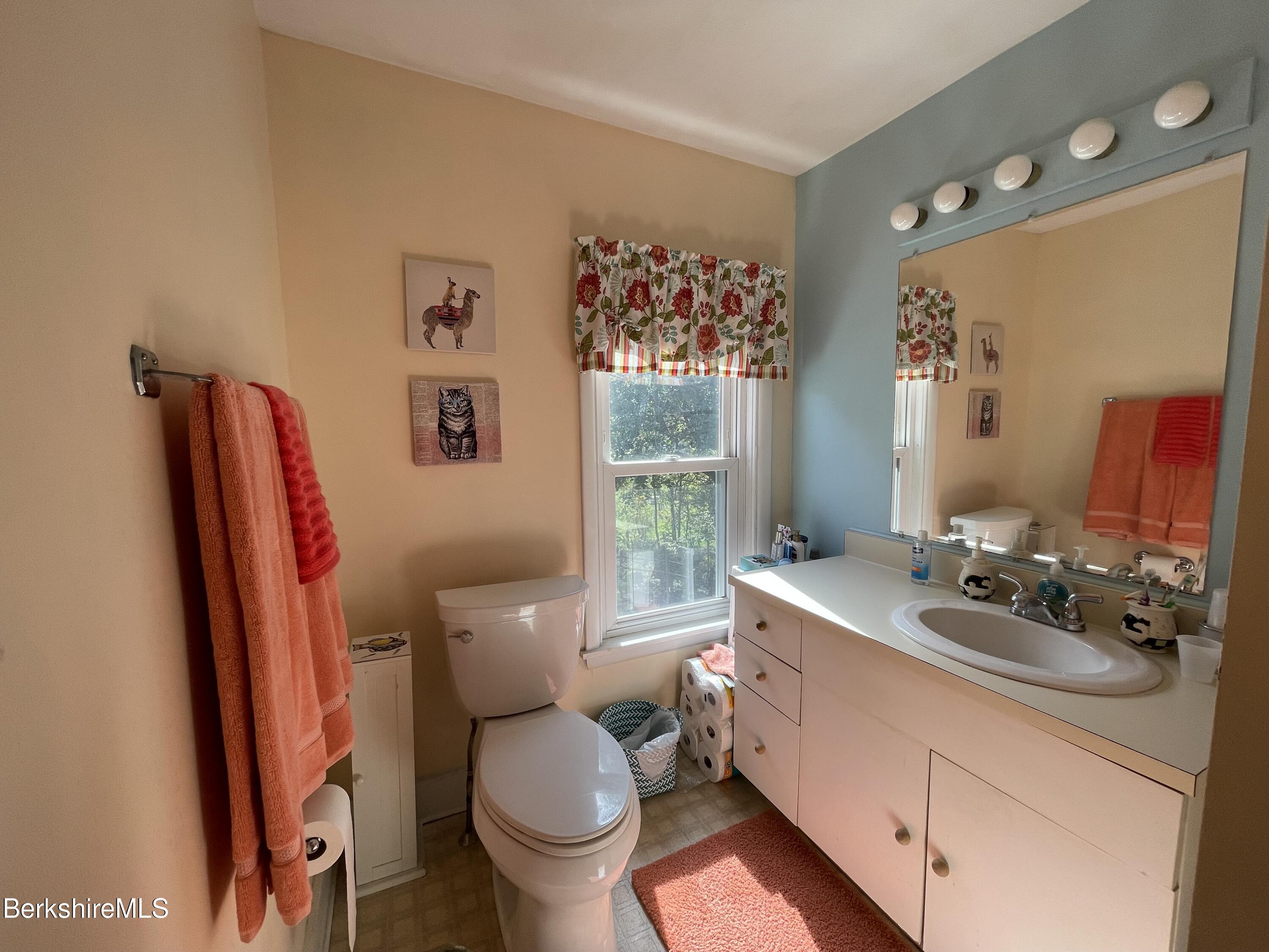 202 Cold Spring Road Williamstown, MA 01267 - Photo 8 of 14 IMG-1656