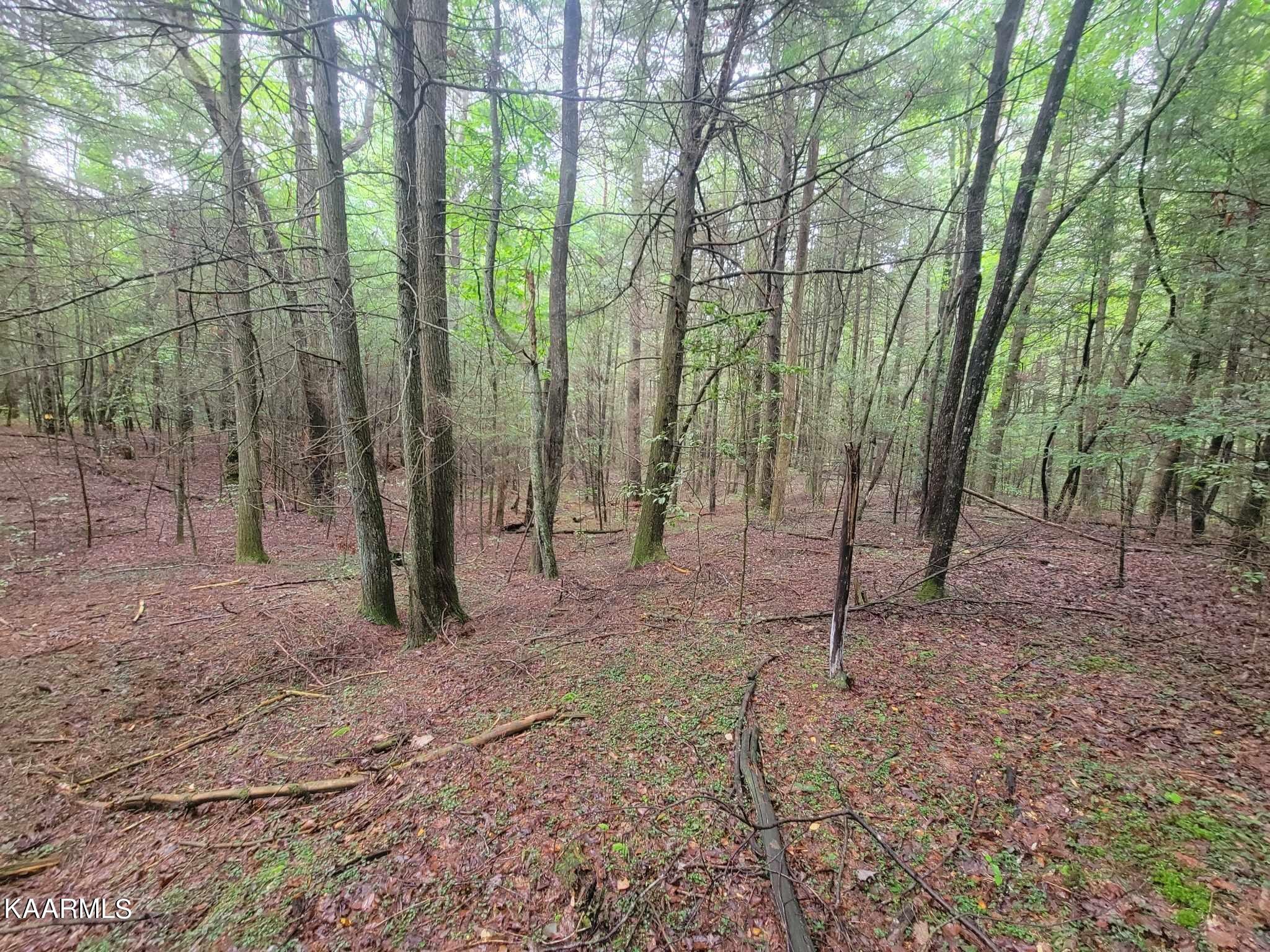0 40 Model Farm Road Jamestown, TN 38556 - Photo 25 of 59