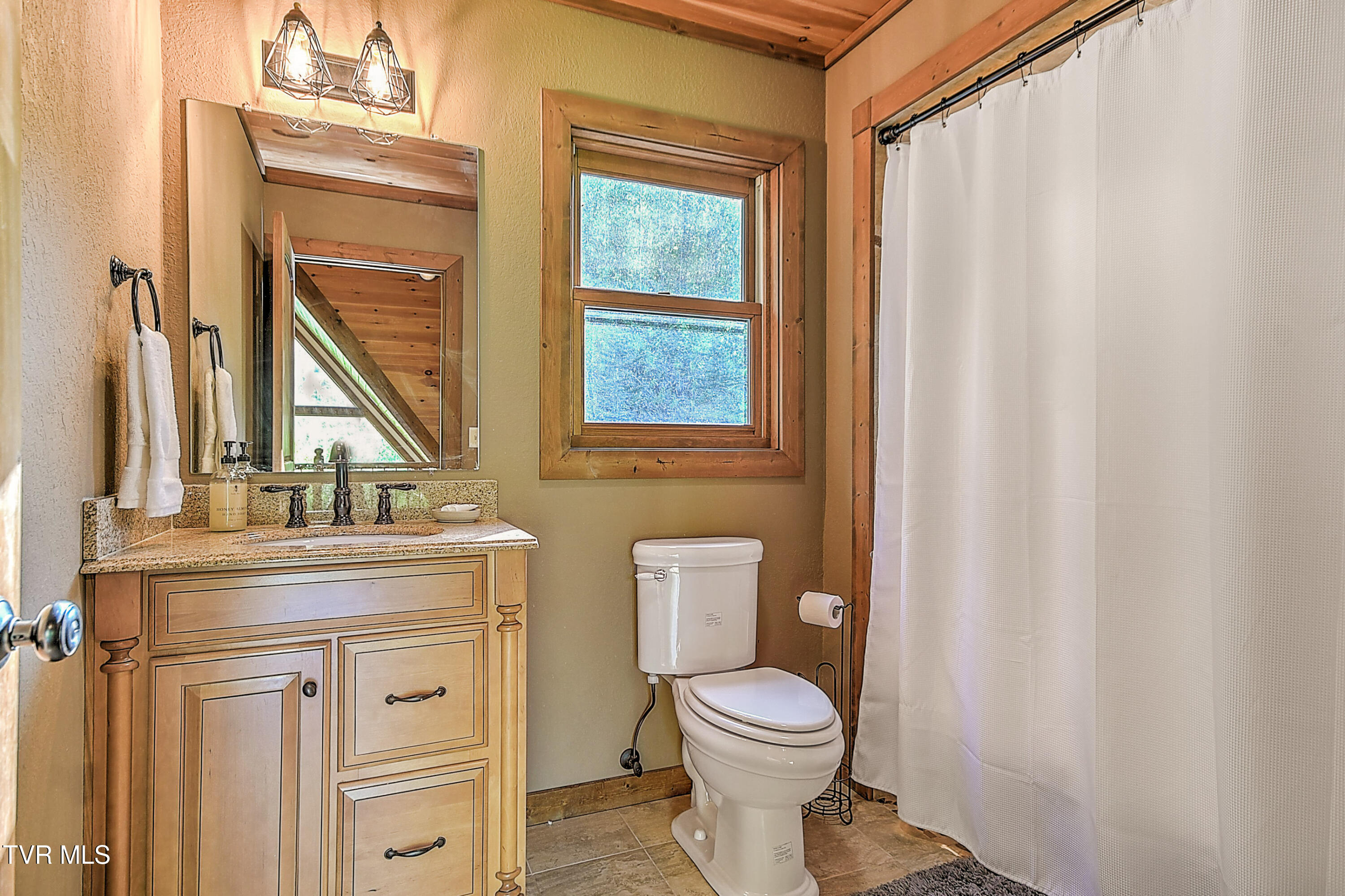 410 Eagle Ridge Road Roan Mountain, TN 37687 - Photo 43 of 97 410 Eagle Ridge HP-41