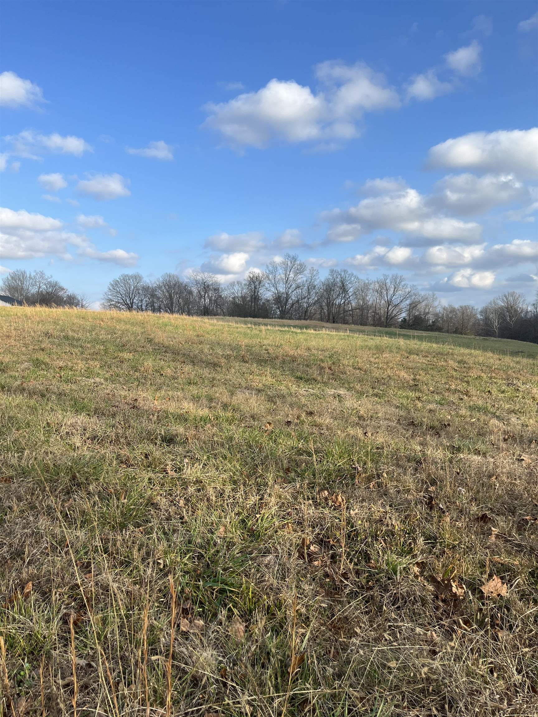 2325 Tomlin Road Somerville, TN 38068 - Photo 1 of 1 a view of an ocean