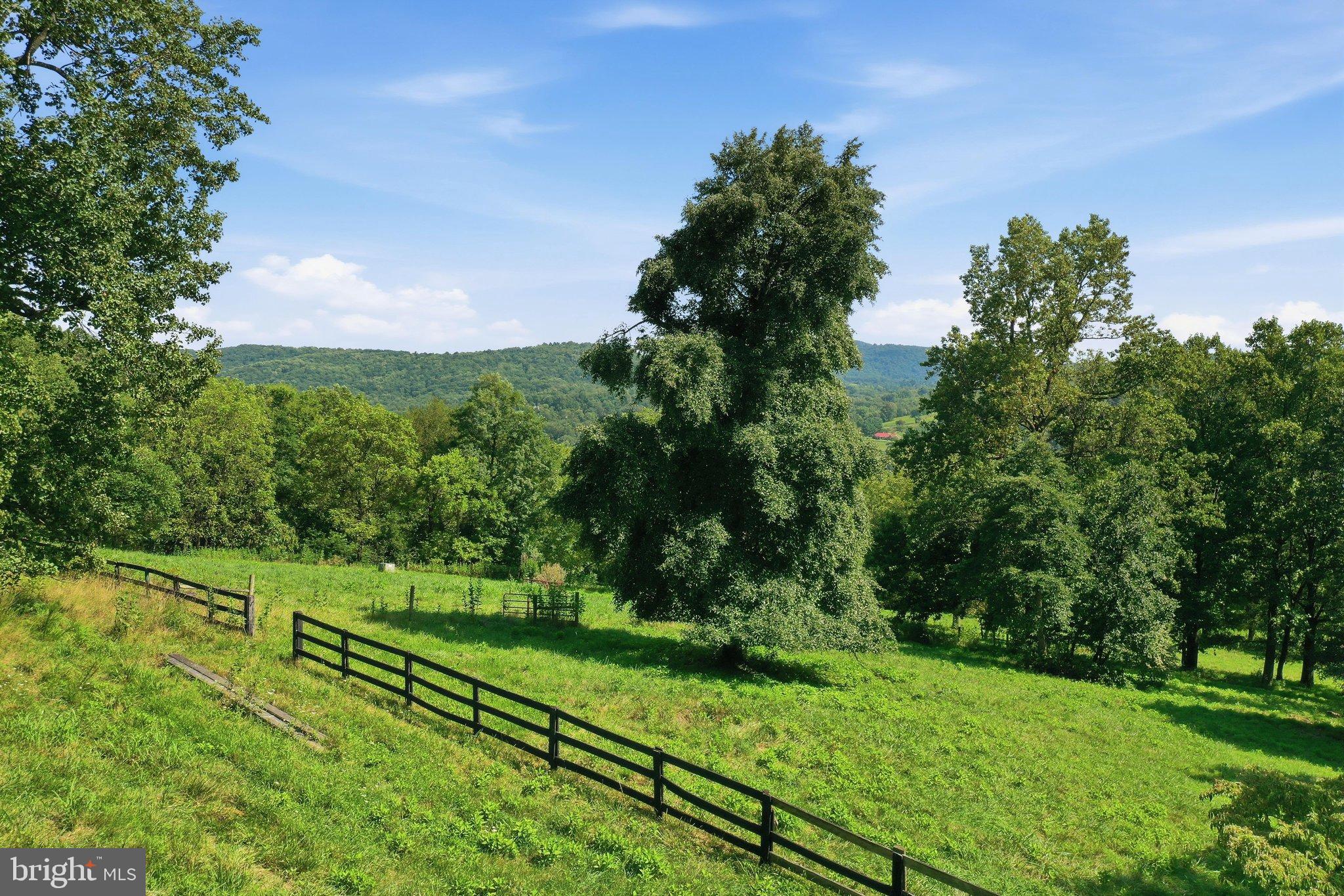 847 Jonathan Road Linden, VA 22642 - Photo 47 of 49 Gallery Image 47