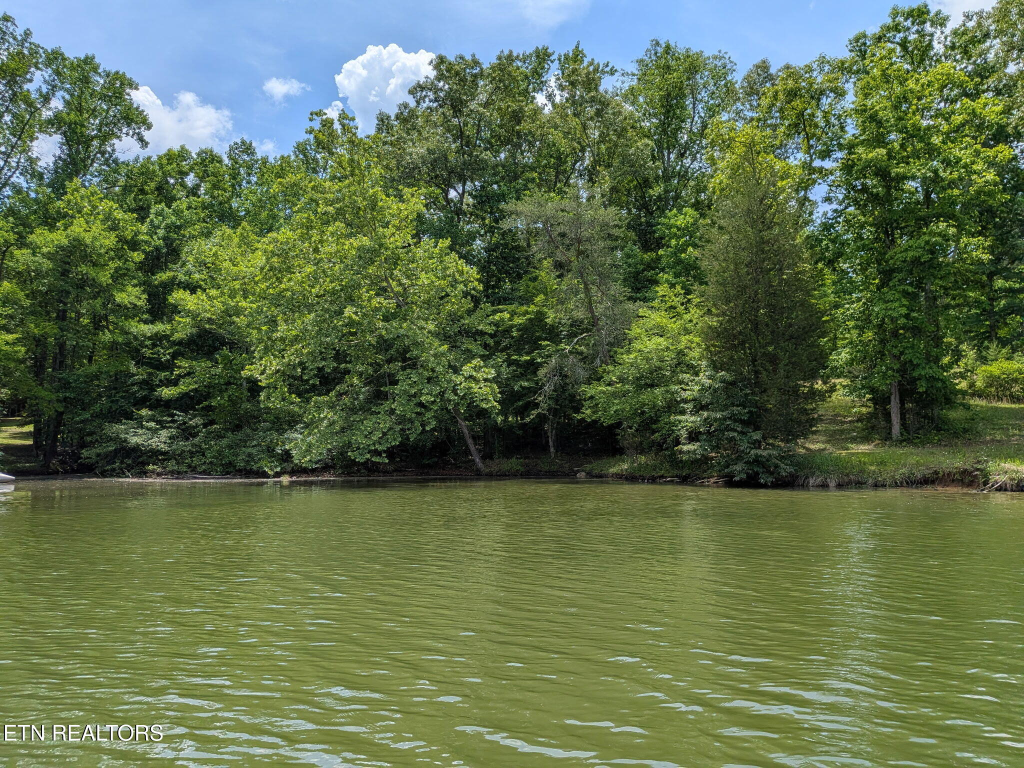 2 Eagle Ridge Road Kingston, TN 37763 - Photo 4 of 10 004