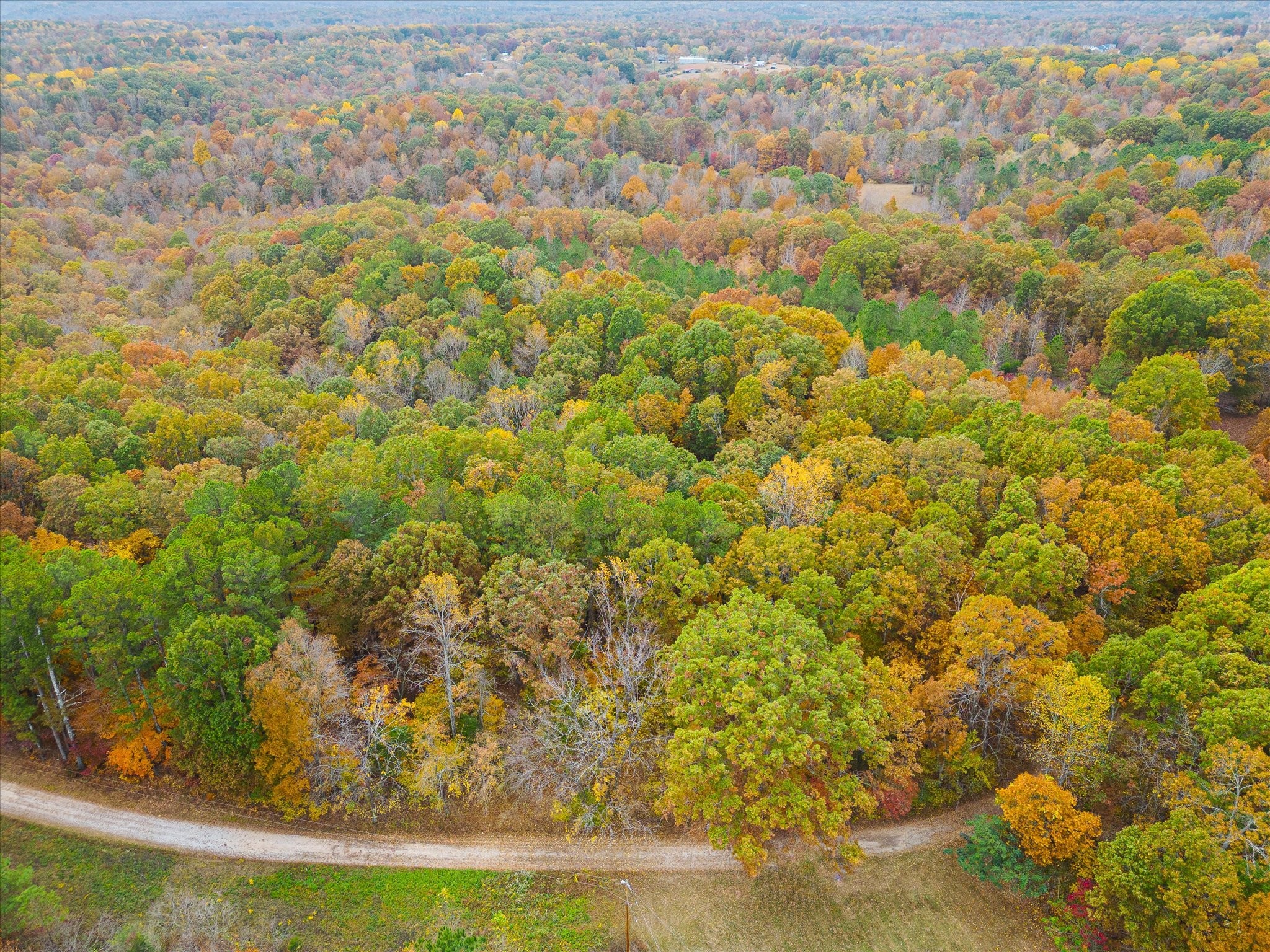 0 Wallace Road Fairview, TN 37062 - Photo 2 of 6 a view of a yard
