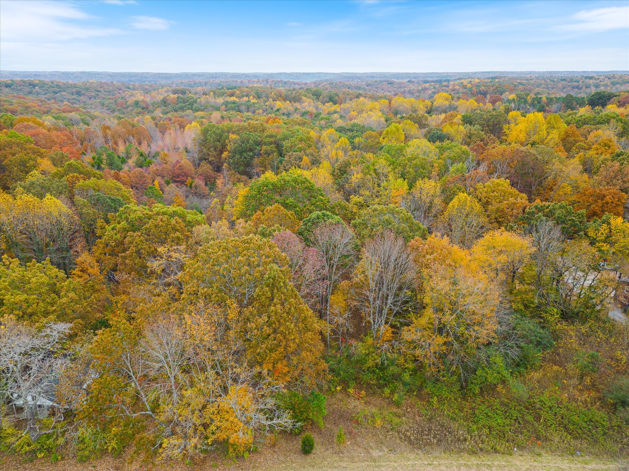 0 Wallace Road Fairview, TN 37062 - Photo 4 of 6