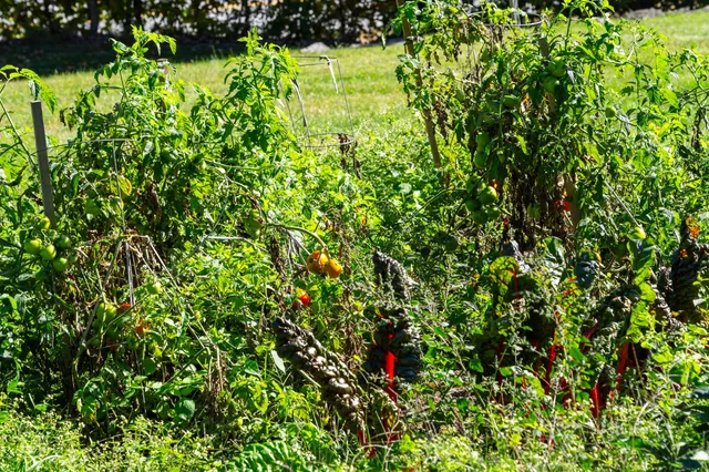 $269,900 | 772 Prescott Road, Manchester, ME 04351