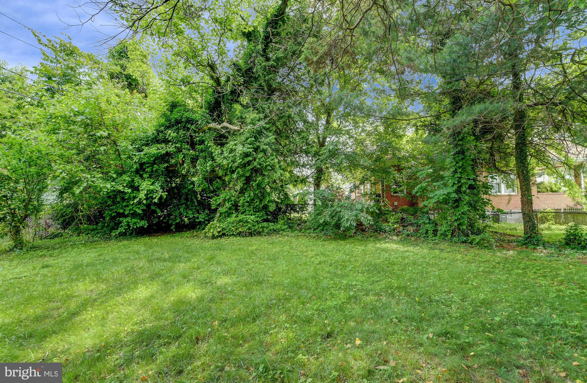 6403 Clearspring Road Baltimore, MD 21212 - Photo 35 of 37 Backyard