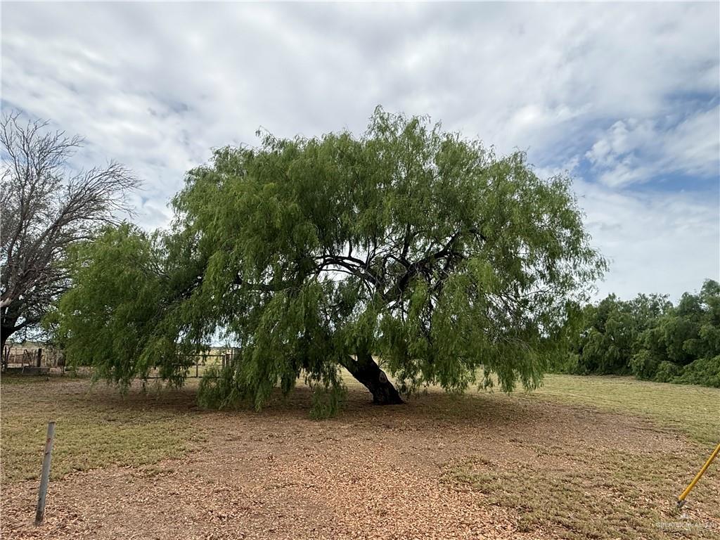 21713 North Western Road Edinburg, TX 78541 - Photo 18 of 24 View of nature