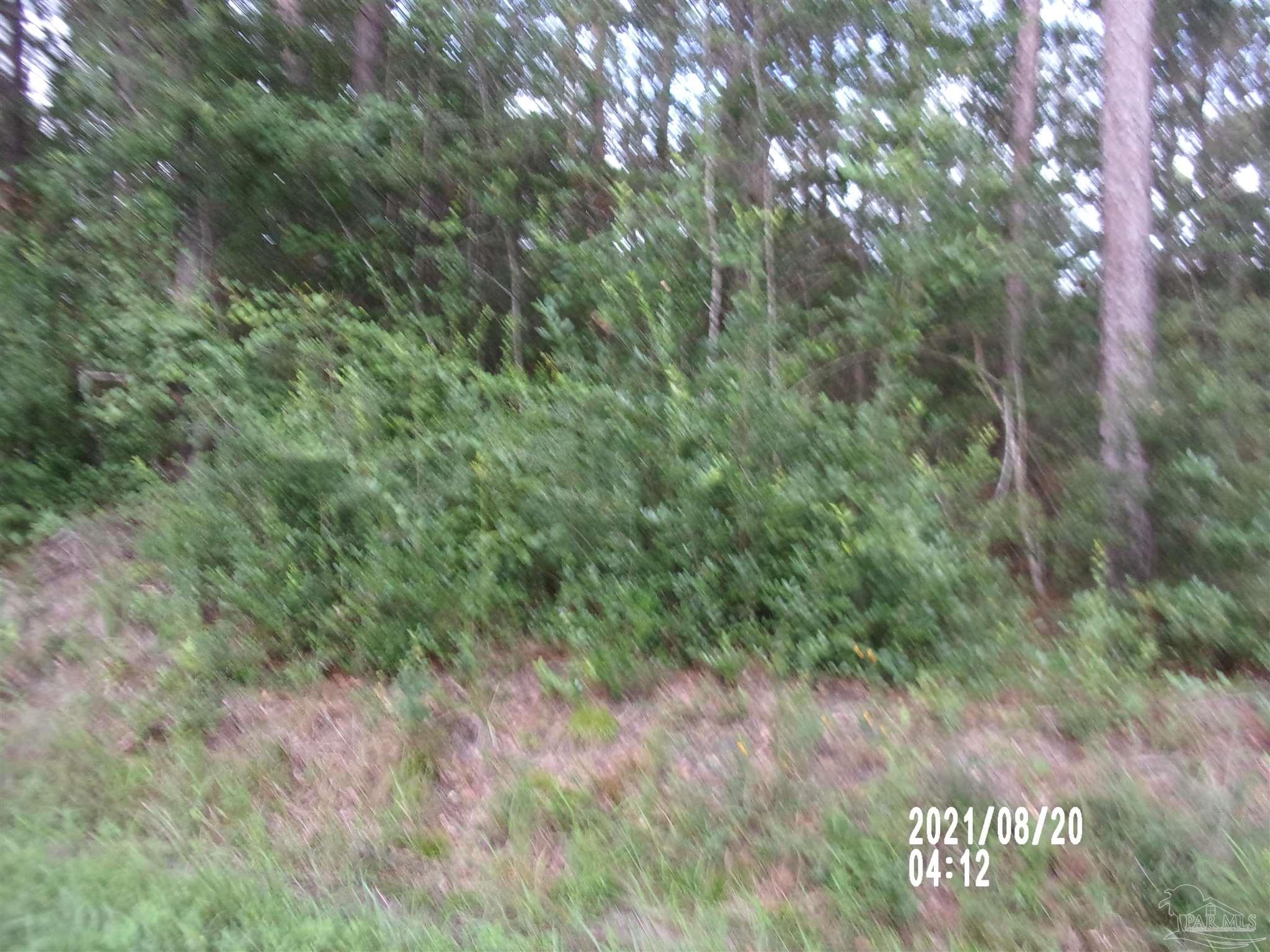 0 Baxley Road, Unit D Milton, FL 32570 - Photo 1 of 2 Gallery Image 1