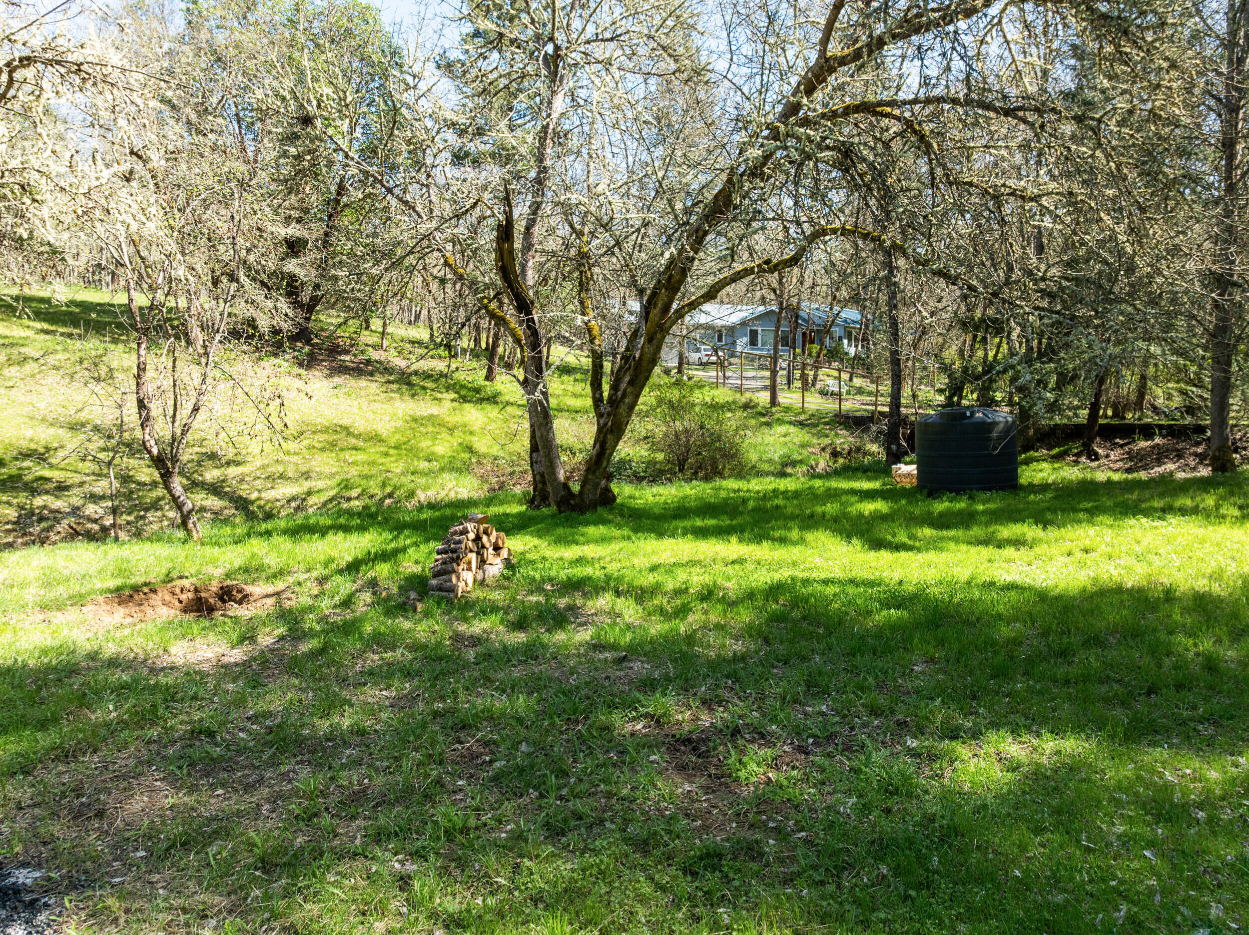 1237 Daisy Creek Road Jacksonville, OR 97530 - Photo 13 of 31 1237-daisy-creek-rd-dr-40