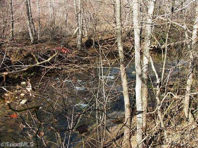 4 Elastic Plant Road, Unit 4 Westfield, NC 27053 - Photo 3 of 14 Land. LOTS OF LITTLE DAN RIVER FRONTAGE