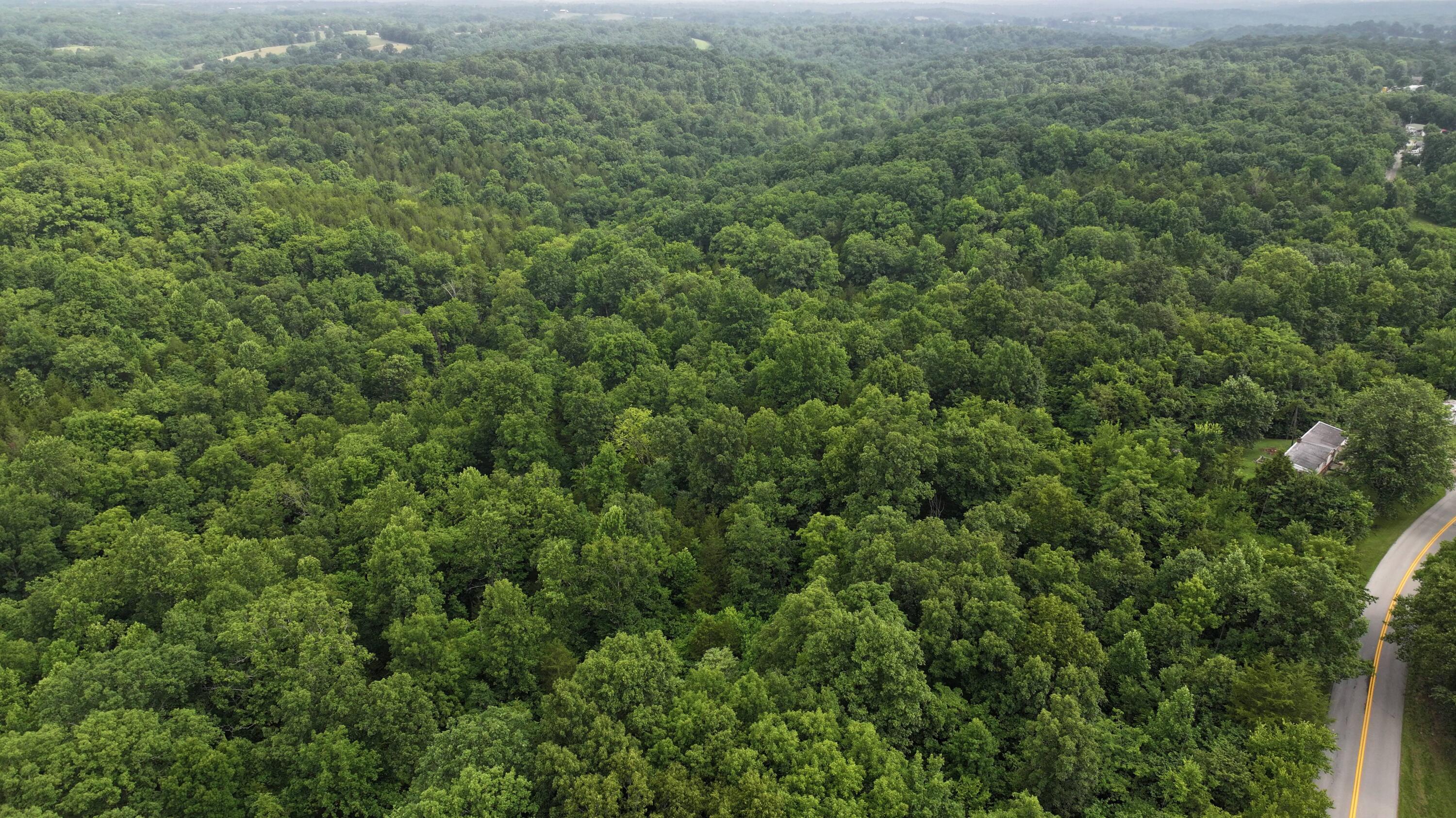 10792 New Columbus Road Owenton, KY 40359 - Photo 20 of 22 DJI_20260709104831_0038_D