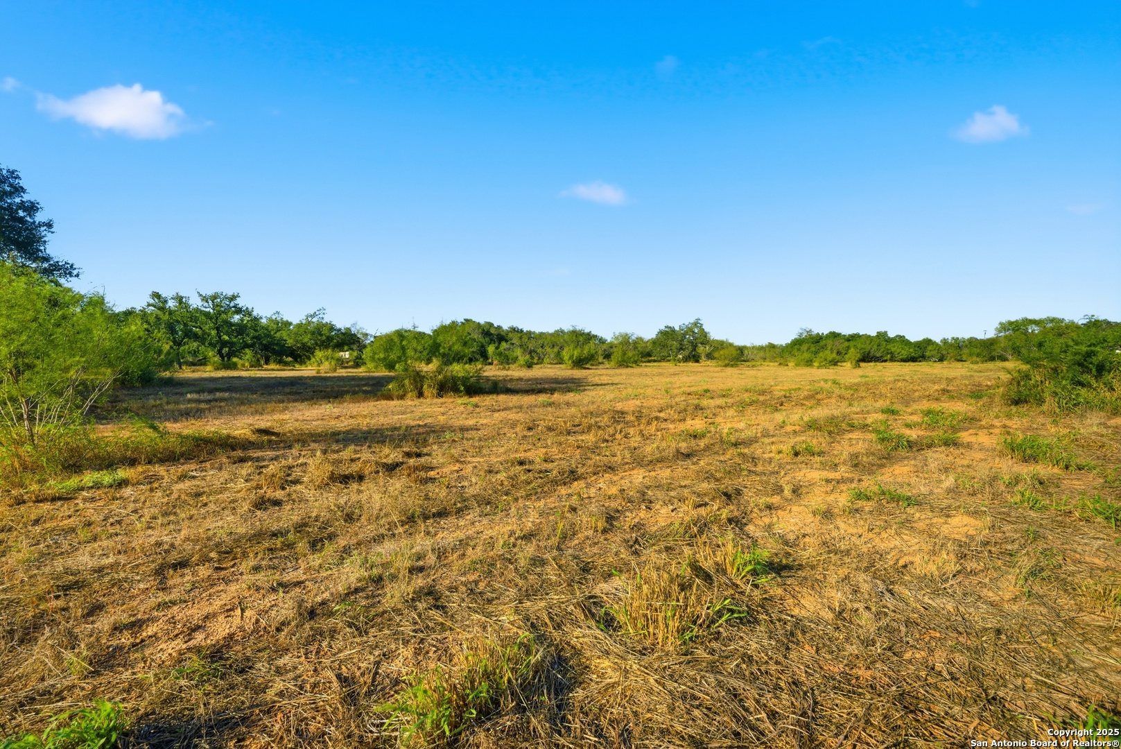 0 Speed Avenue Moore, TX 78057 - Photo 9 of 16 a view of lake view and mountain in the back