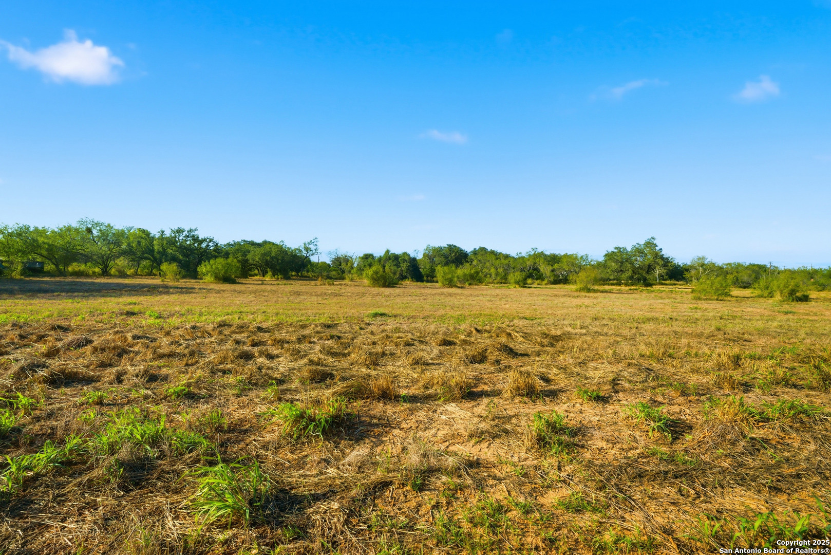 0 Speed Avenue Moore, TX 78057 - Photo 10 of 16 a view of a lake with houses in the background