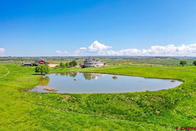 a view of a yard with a big yard