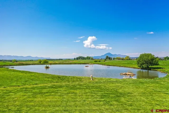 a view of a lake with houses in the back