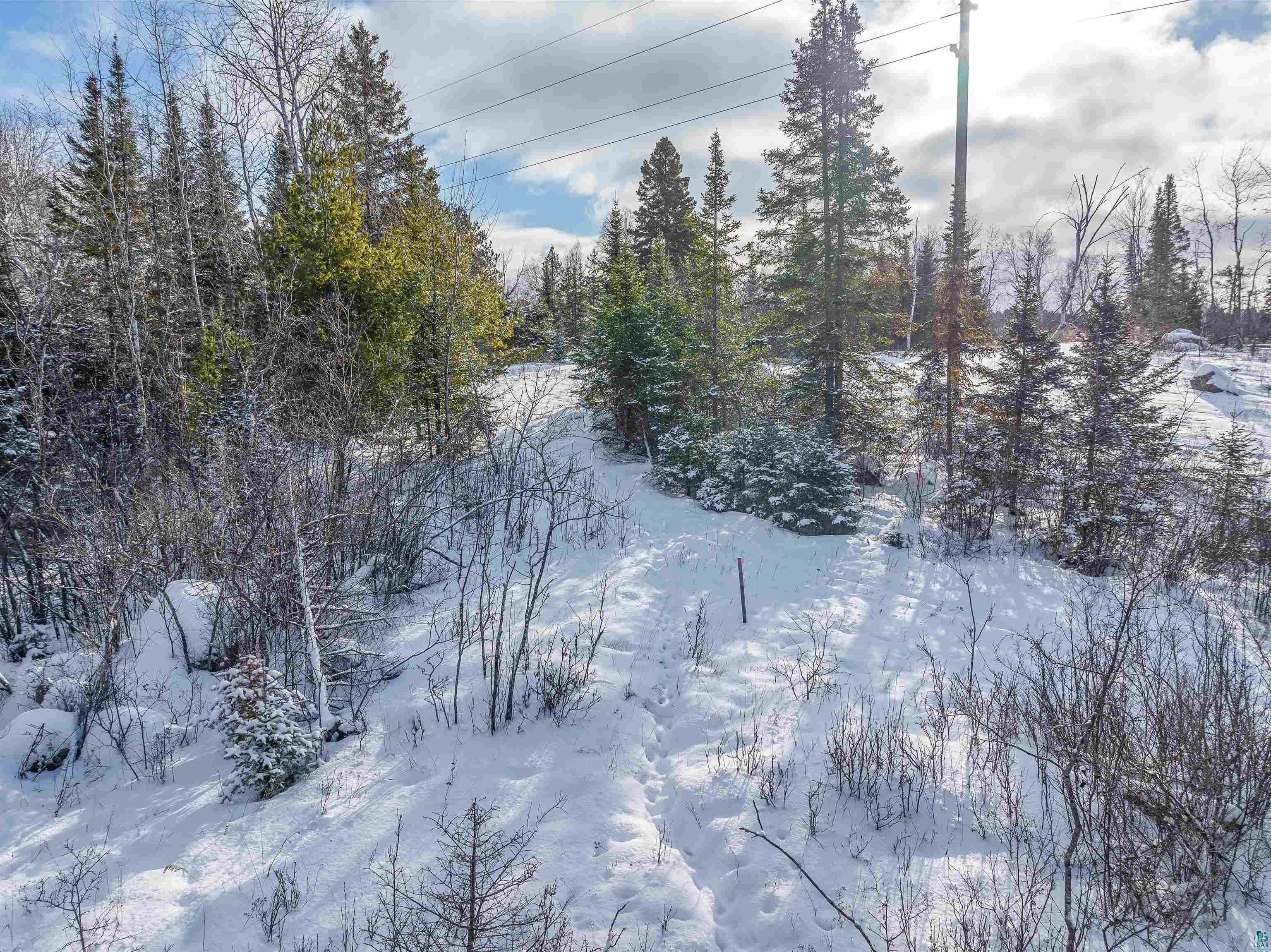 Tbd Trezona Road Ely, MN 55731 - Photo 17 of 22 View of snow covered land featuring a wooded view