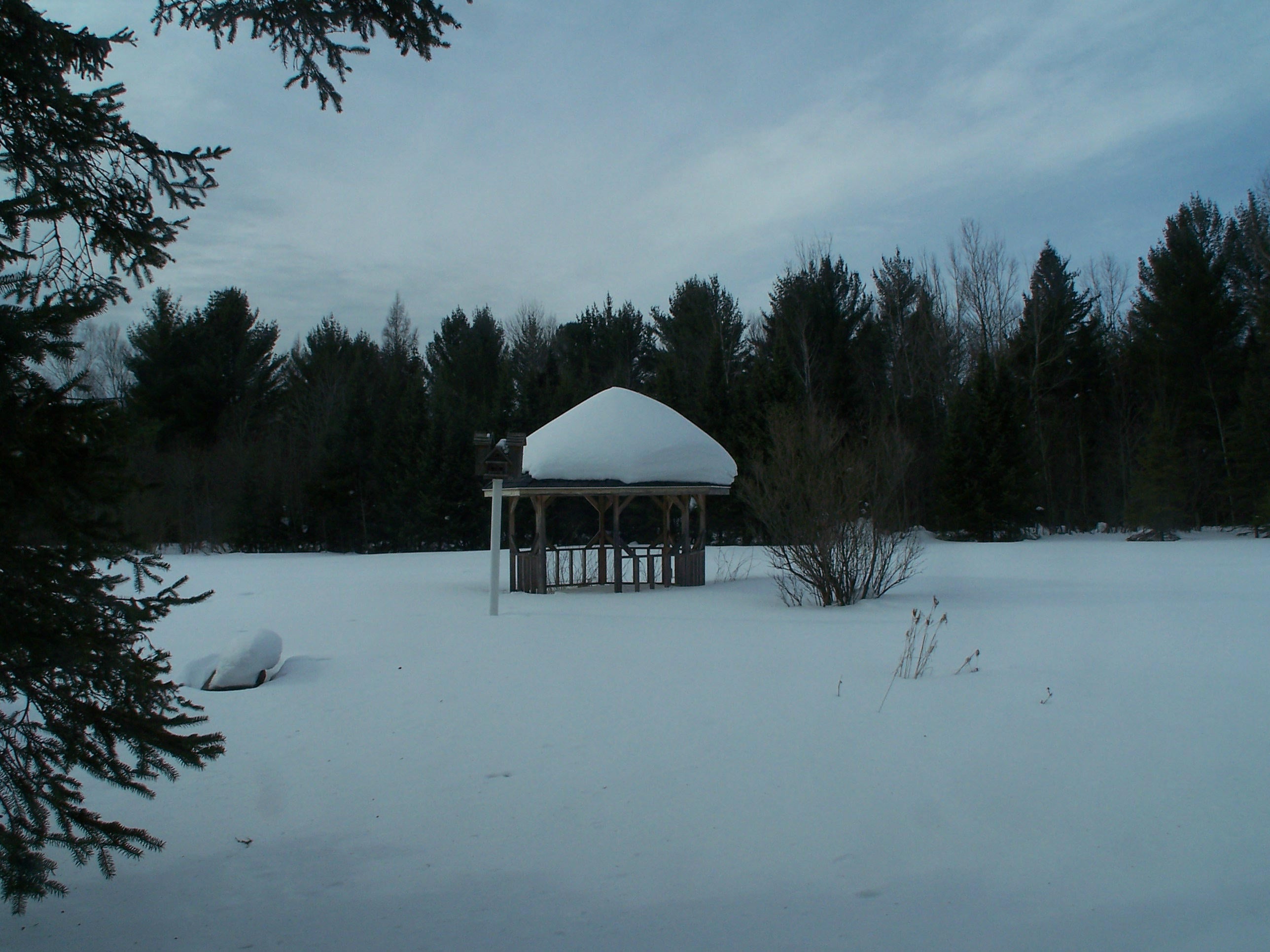 7338 South Forrest Side Road Brimley, MI 49715 - Photo 15 of 16 Gallery Image 15