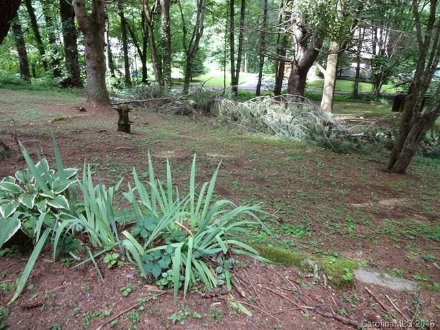 528 Barrett Road Balsam, NC 28707 - Photo 2 of 2 Gallery Image 2