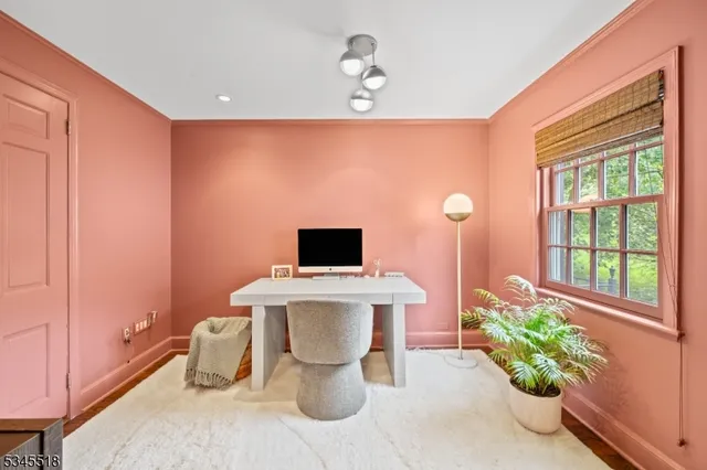 a living room with a furniture and a potted plant