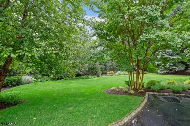 a view of a lush green space