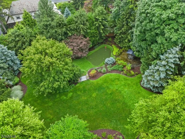a view of a garden with plants and large trees