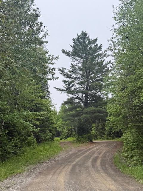Lot #3 Pleine Road St. Agatha, ME 04772 - Photo 18 of 32