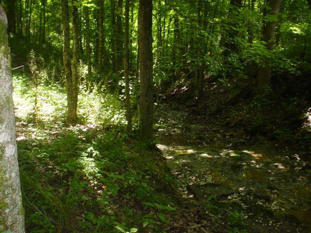 12420 Jonesville Road Dry Ridge, KY 41035 - Photo 20 of 26