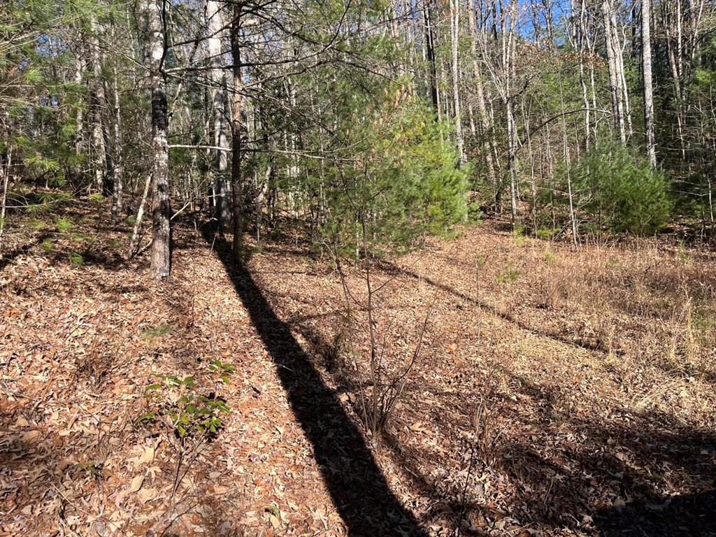 Tbd Cp Crk Road Murphy, NC 28906 - Photo 3 of 14