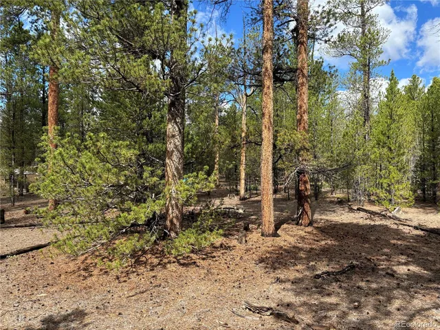 a view of outdoor space with lots of trees