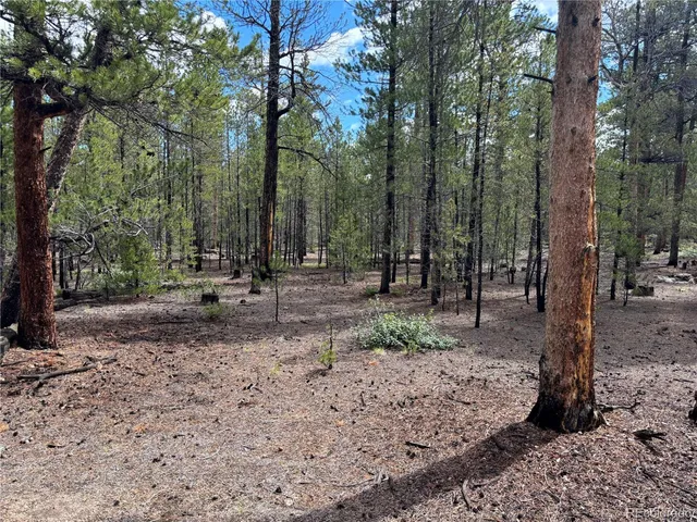 a view of outdoor space with lots of trees