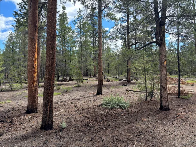 a view of outdoor space with trees