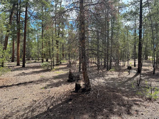 a view of road with trees