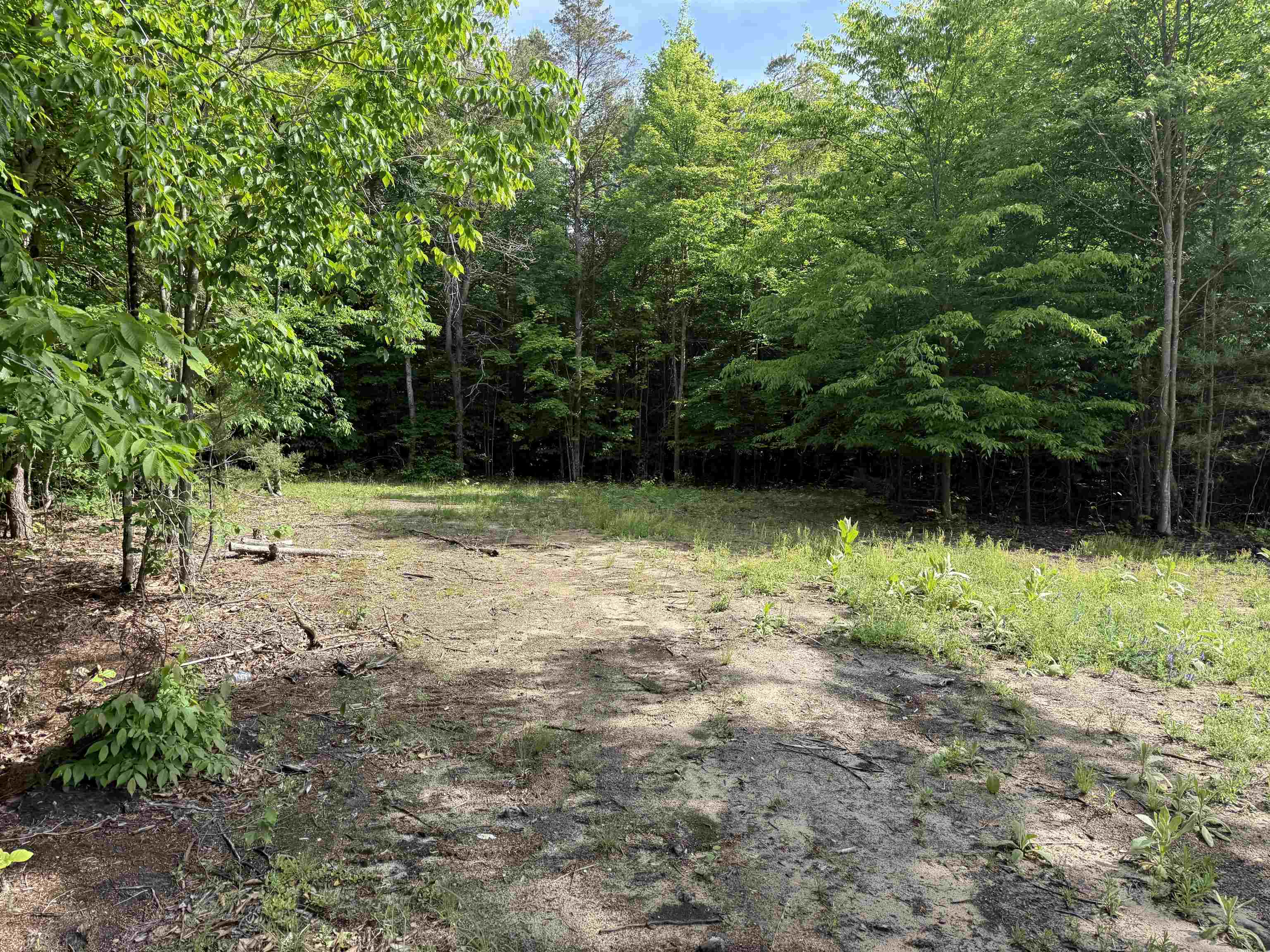 19493 Paradise Ridge Trail Cedar, MI 49684 - Photo 13 of 19