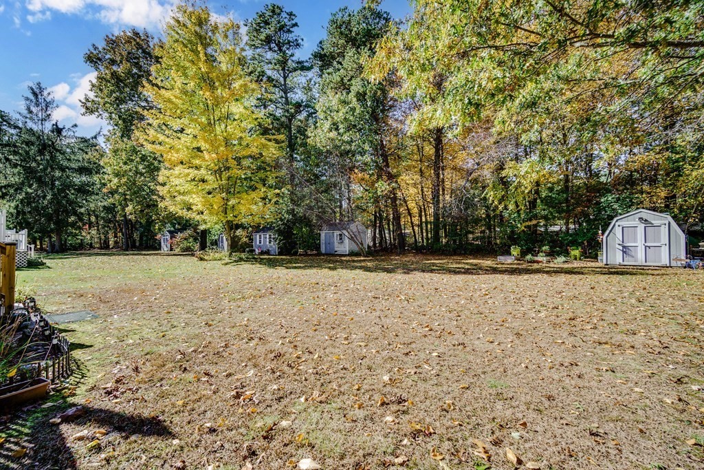 610 County Road, Unit 5 Holyoke, MA 01040 - Photo 29 of 33 a view of backyard space and trees
