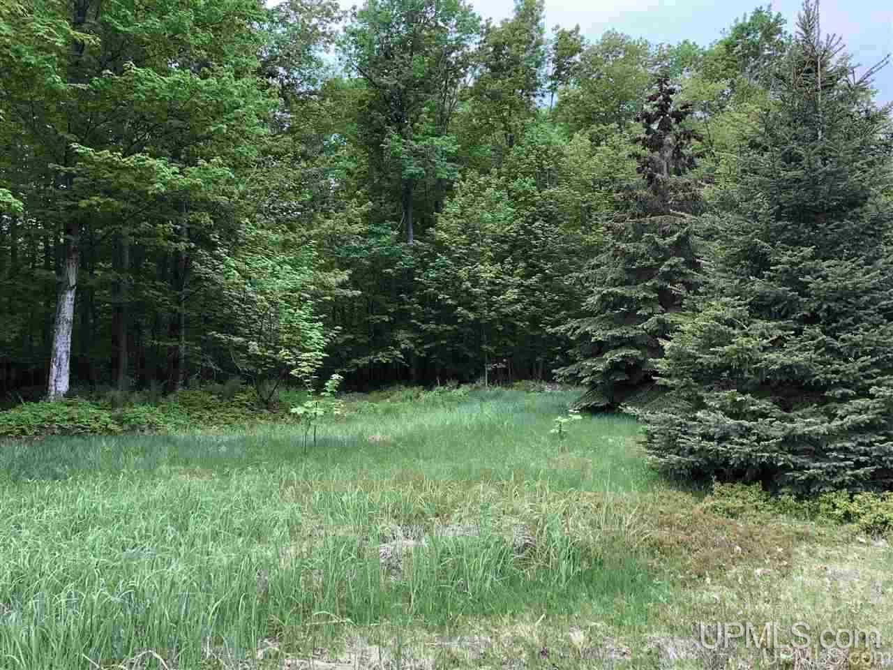 Tbd Will Pryor Road Big Bay, MI 49808 - Photo 3 of 18