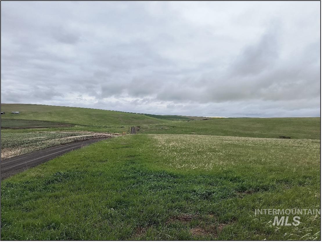 Tbd Tbd Meade Road Nezperce, ID 83543 - Photo 4 of 10