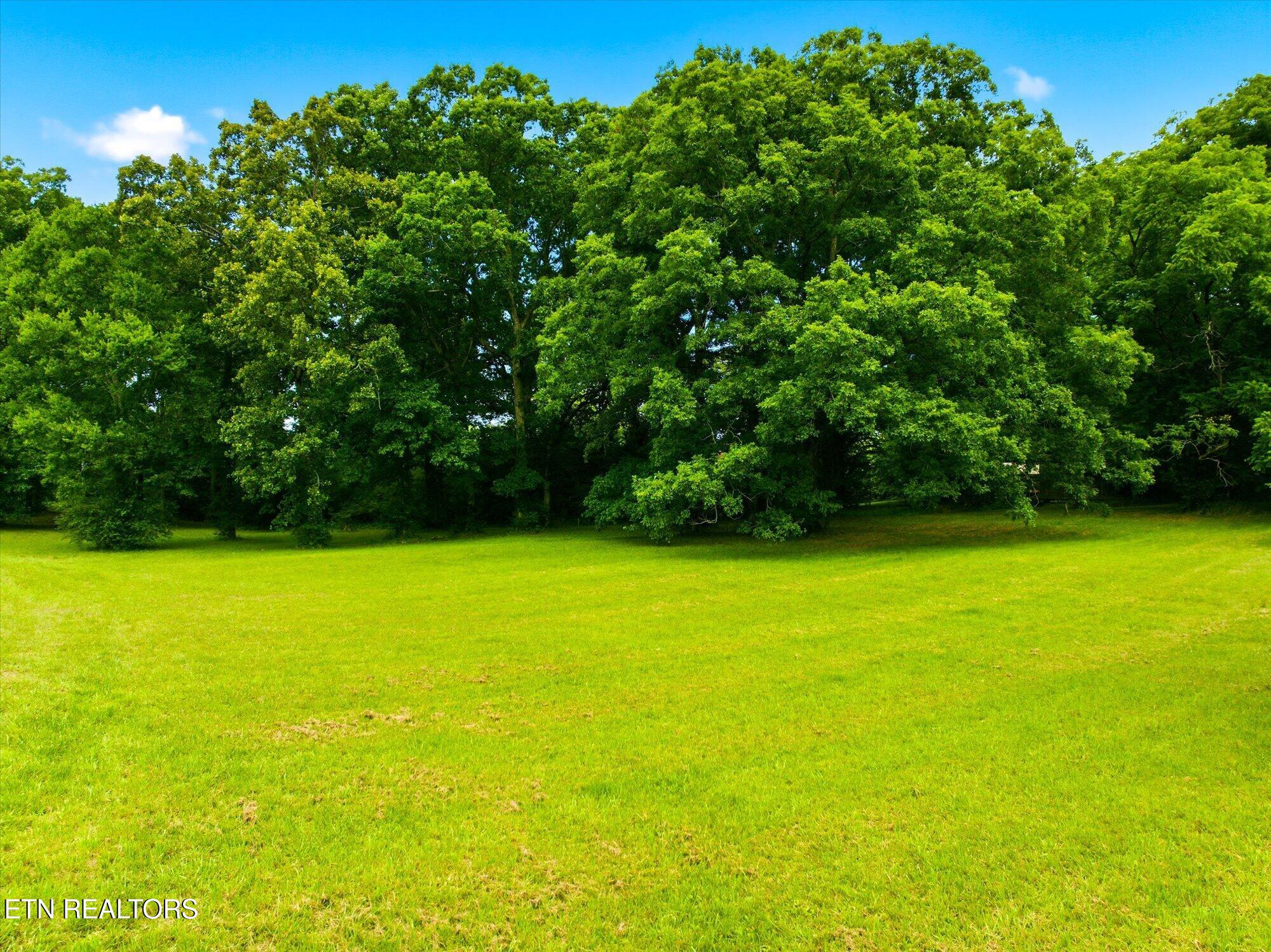 7030 County Road Athens, TN 37303 - Photo 4 of 15 07-County-Rd-7030-Tennessee-7