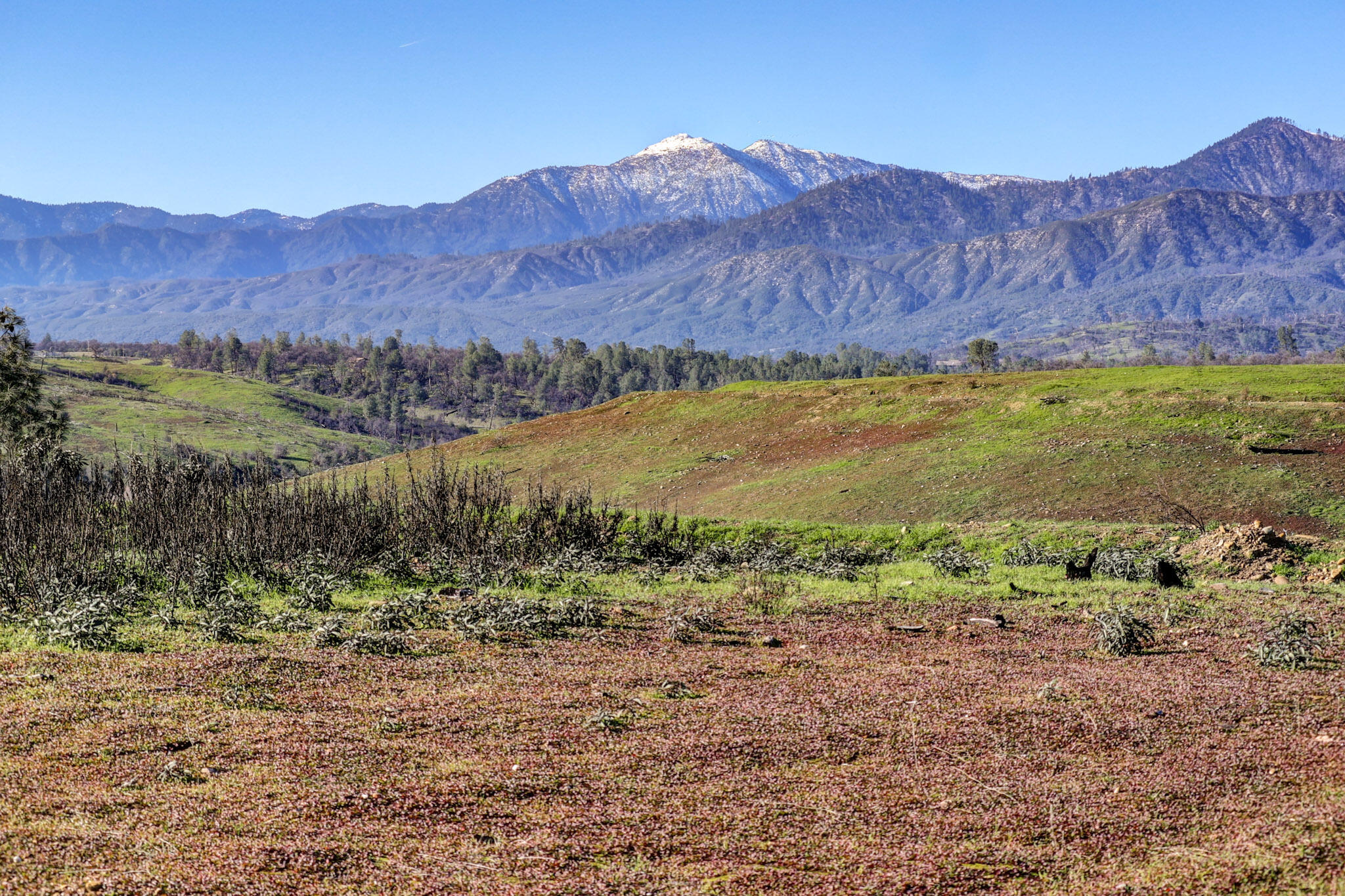 Cloverdale Road Anderson, CA 96007 - Photo 15 of 16 Views