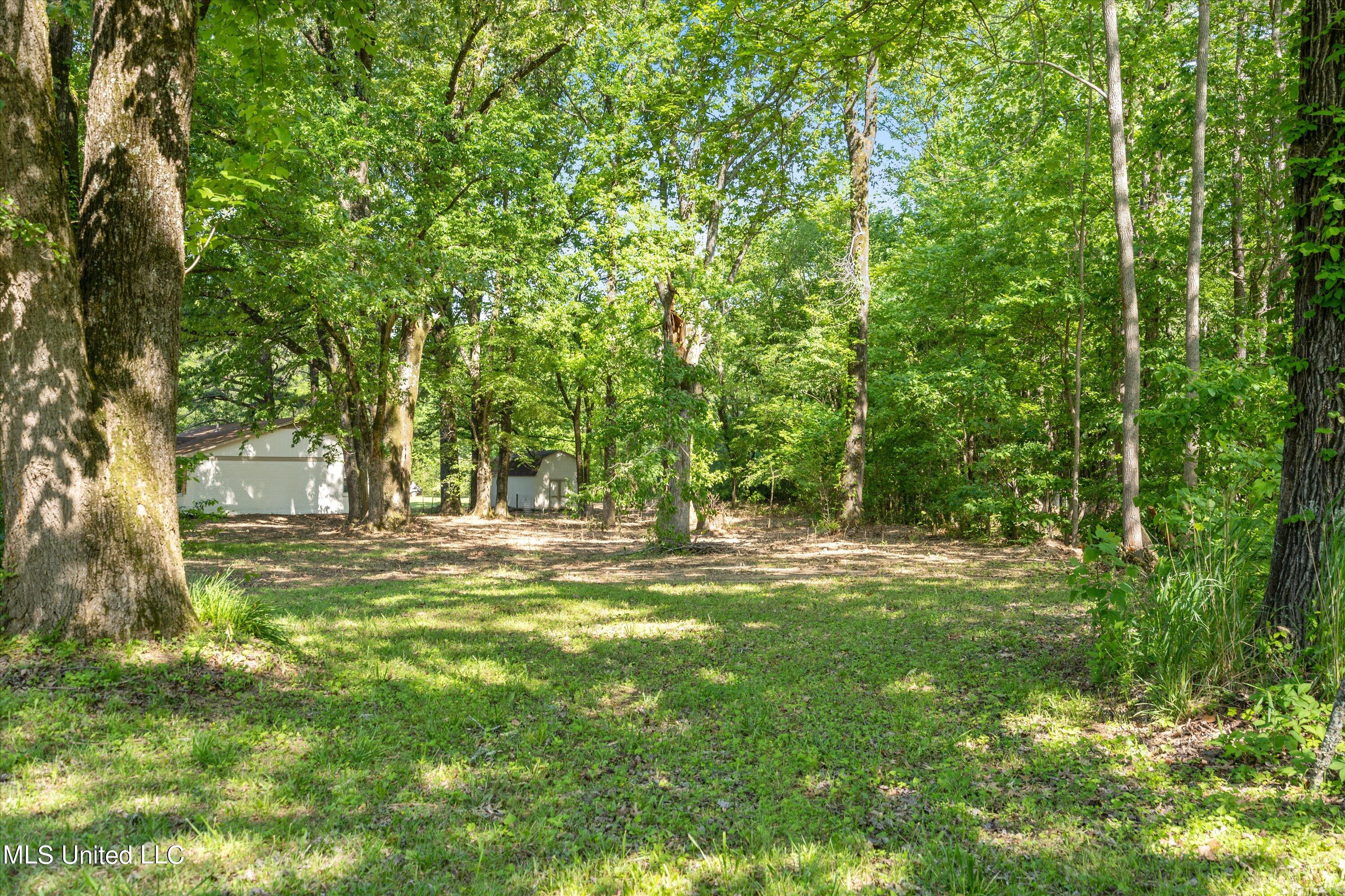 258 Crestfield Road Coldwater, MS 38618 - Photo 29 of 31 31-DSC1515