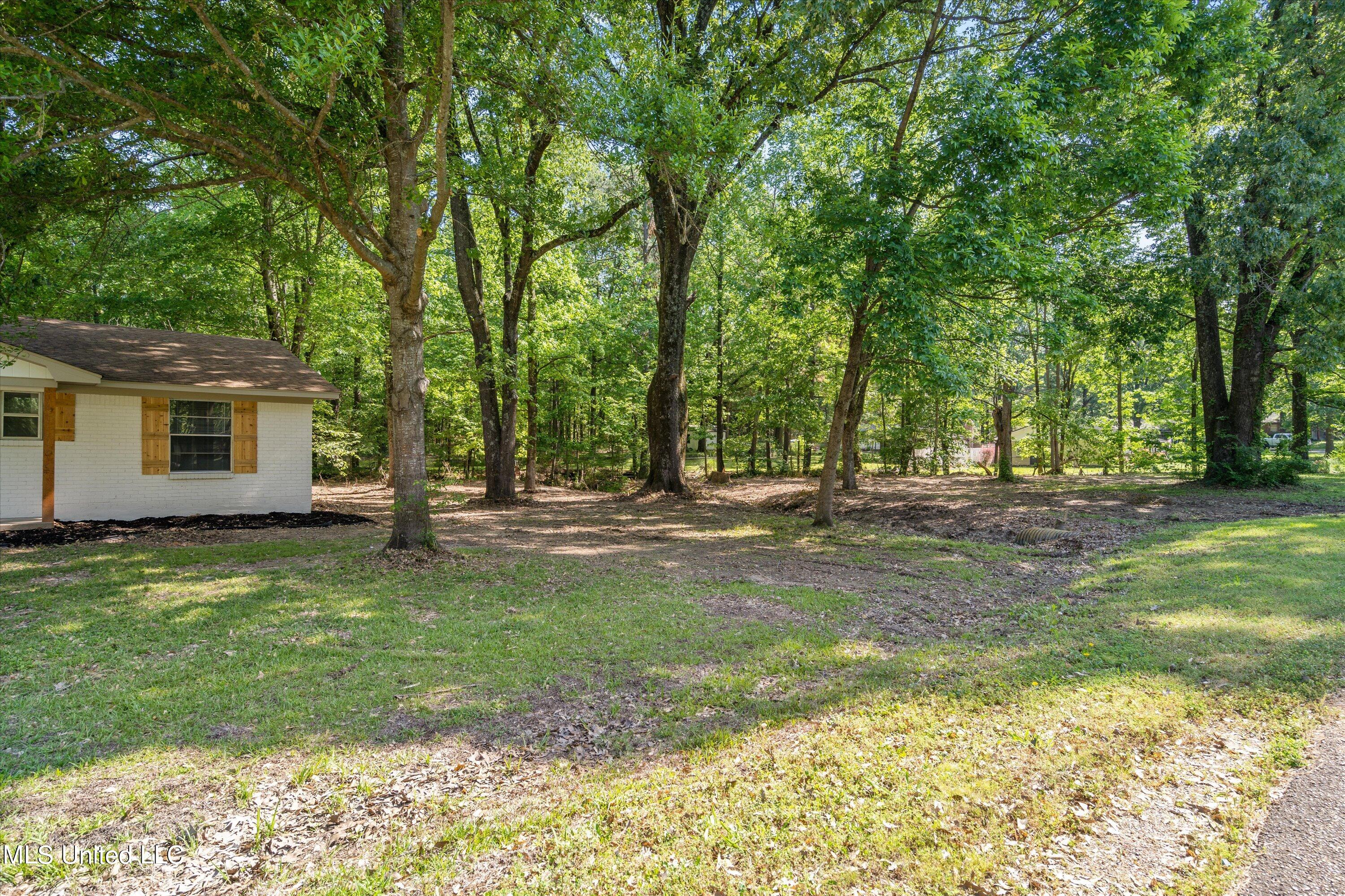 258 Crestfield Road Coldwater, MS 38618 - Photo 4 of 31 32-DSC1520