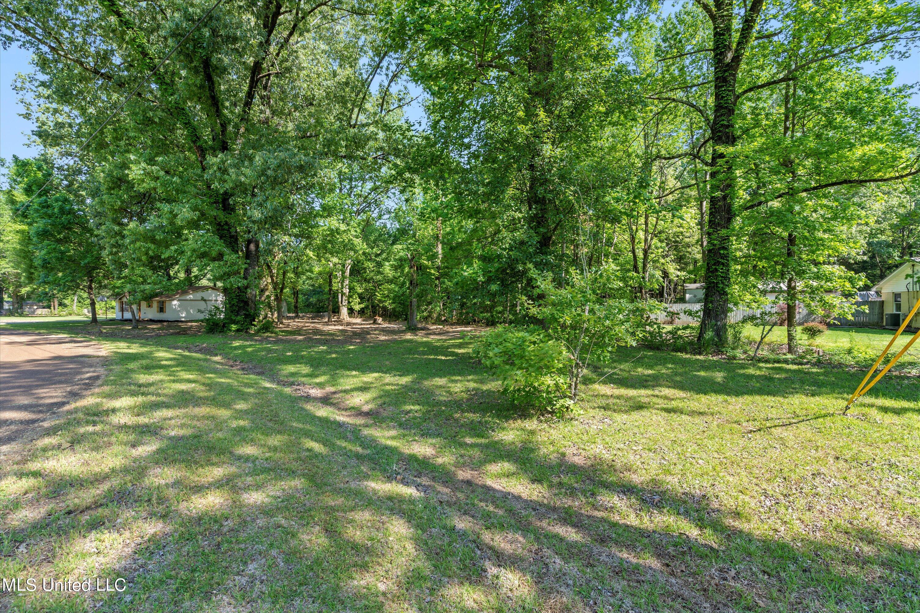 258 Crestfield Road Coldwater, MS 38618 - Photo 5 of 31 30-DSC1506