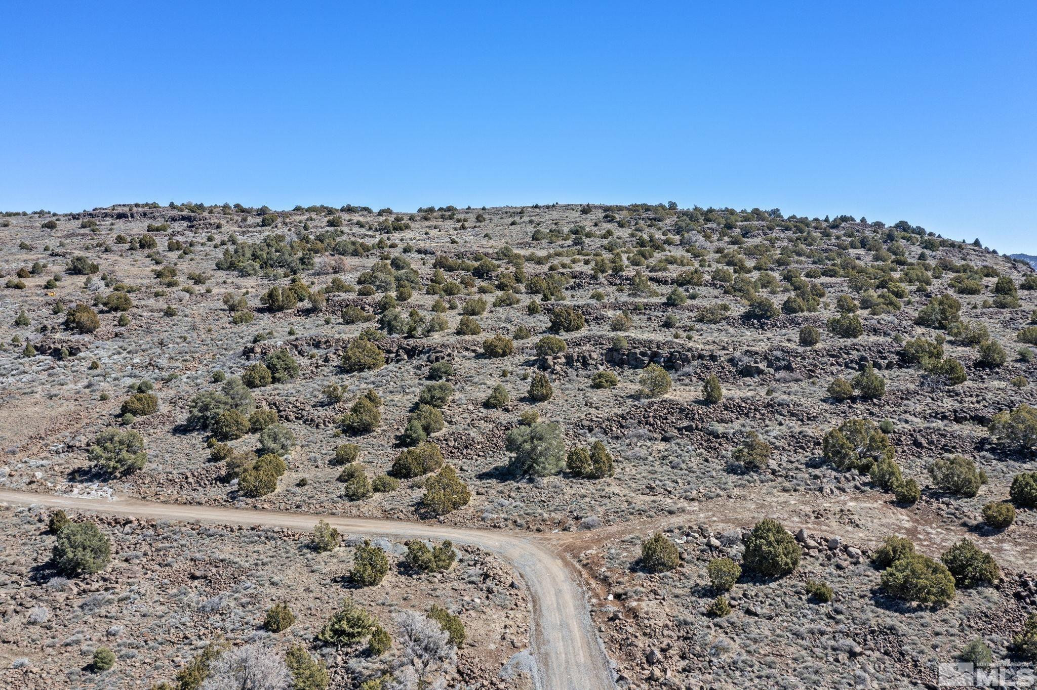 3150 Sheridan Road Reno, NV 89521 - Photo 22 of 27 a view of a large yard