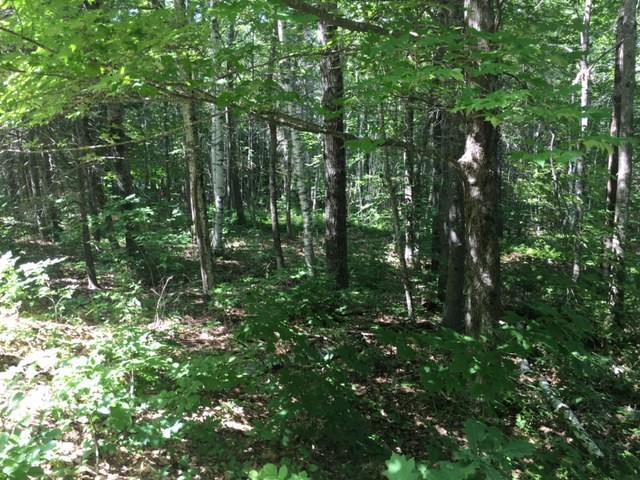 Lot 9 North Ridge Road Lincolnville, ME 04849 - Photo 7 of 9 Photo