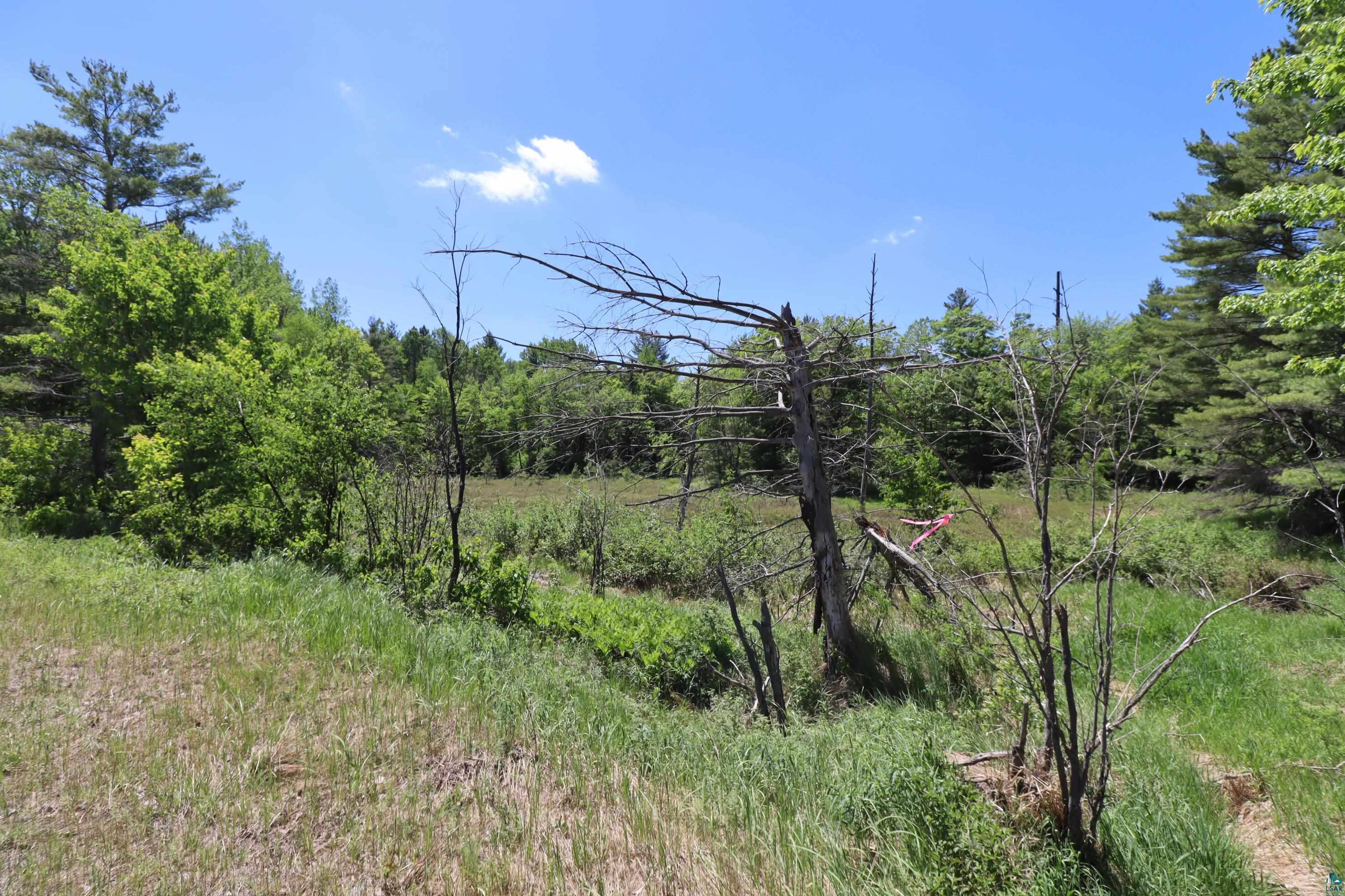 63 Highway 63 Cable, WI 54821 - Photo 3 of 12