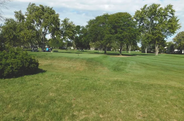 a view of outdoor space with green field and trees